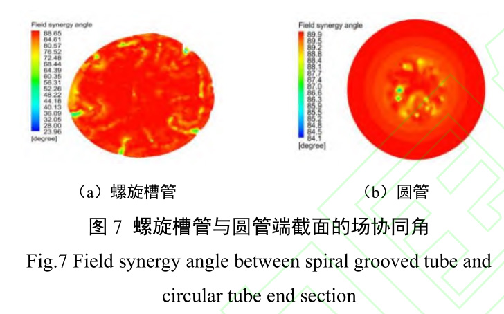 1738498343342723.jpg 7.jpg